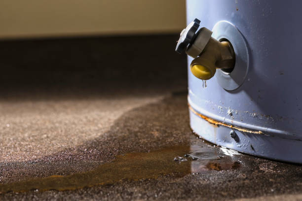 Best Water damage restoration mold remediation  in Paia, HI