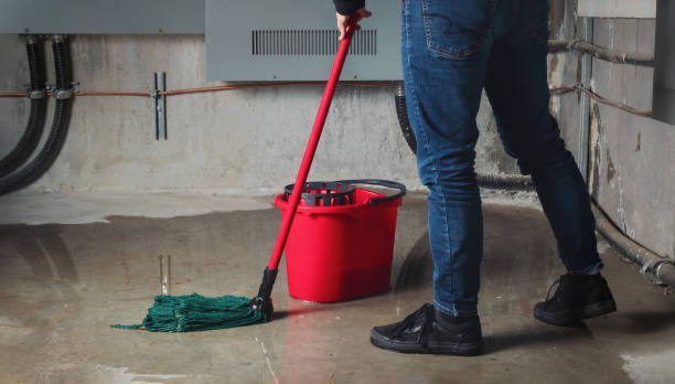 Best Flood restoration services  in Paia, HI