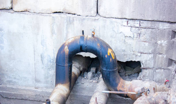 Best 24-hour water damage restoration  in Paia, HI