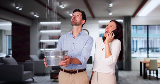 Best Fire Damage Restoration  in Paia, HI