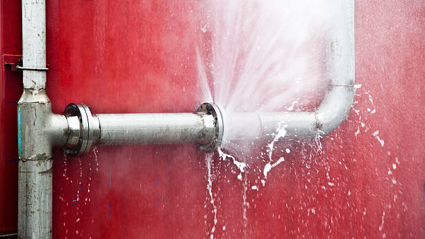 Best 24/7 water damage repair  in Paia, HI